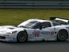 fia-gt-5173