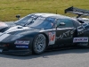 fia-gt-5205