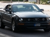 US-Car-Treffen_MD_2010-186