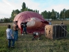 US-Car-Treffen_MD_2010-194