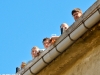 Seasons-Opening-2011-0332